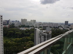 Montview (D10), Condominium #140113522